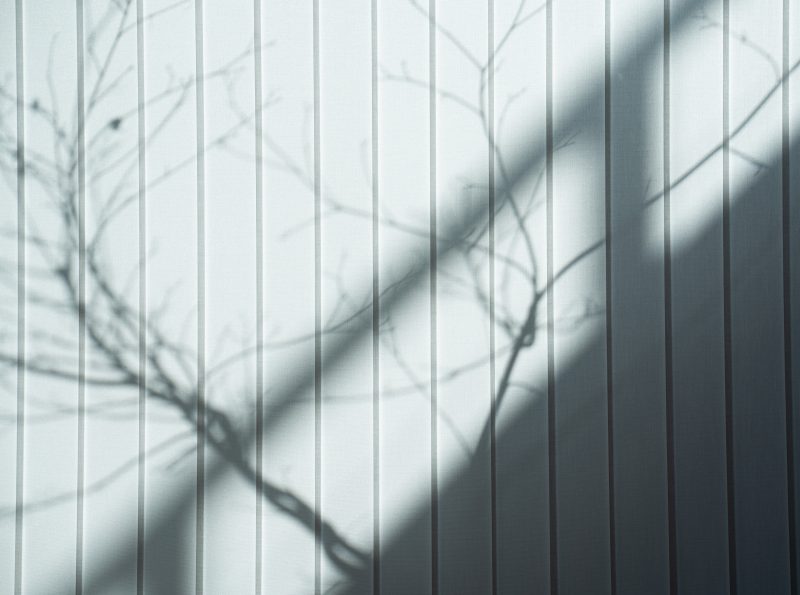 Shadow play of trees on wall