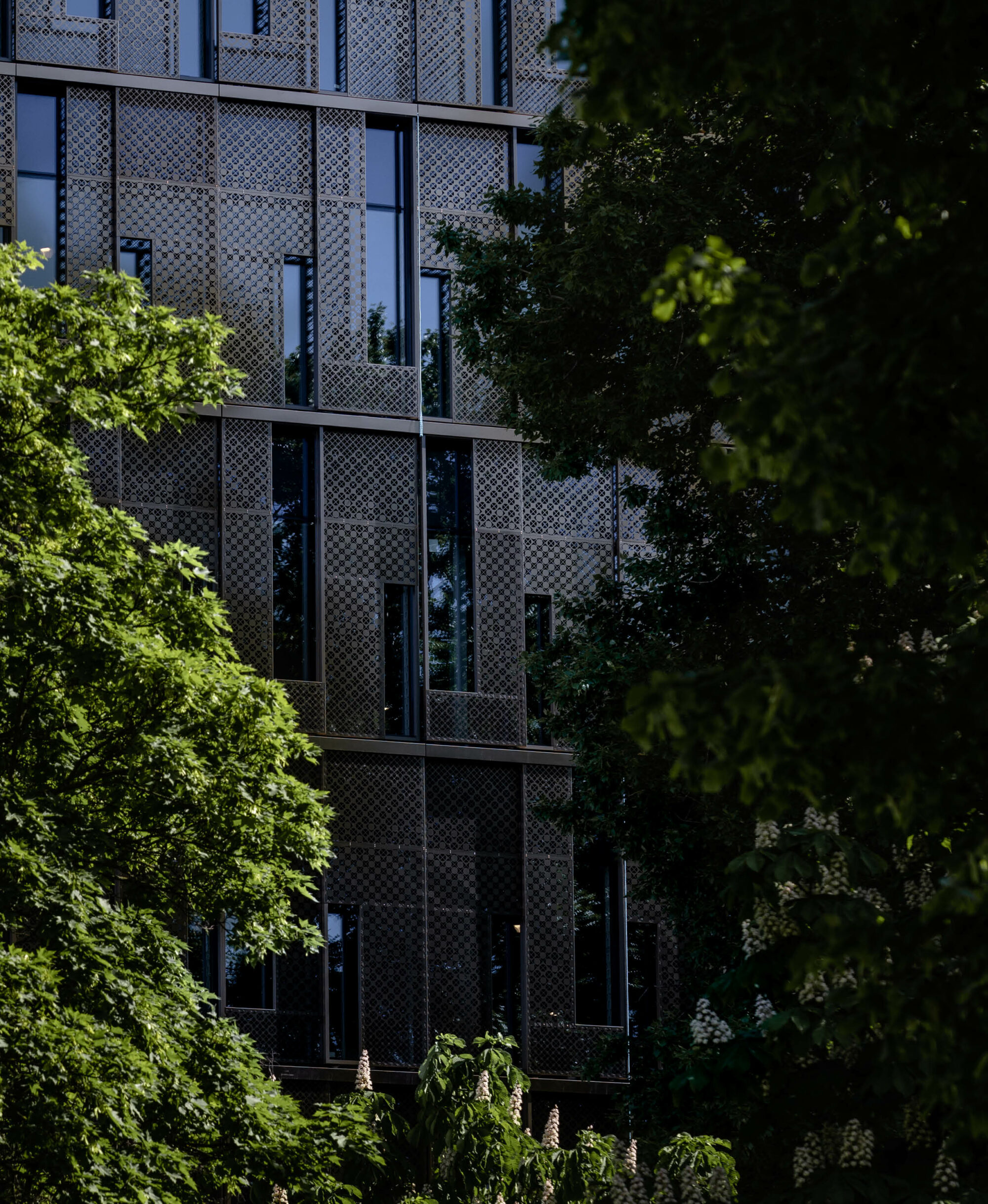 Building behind trees