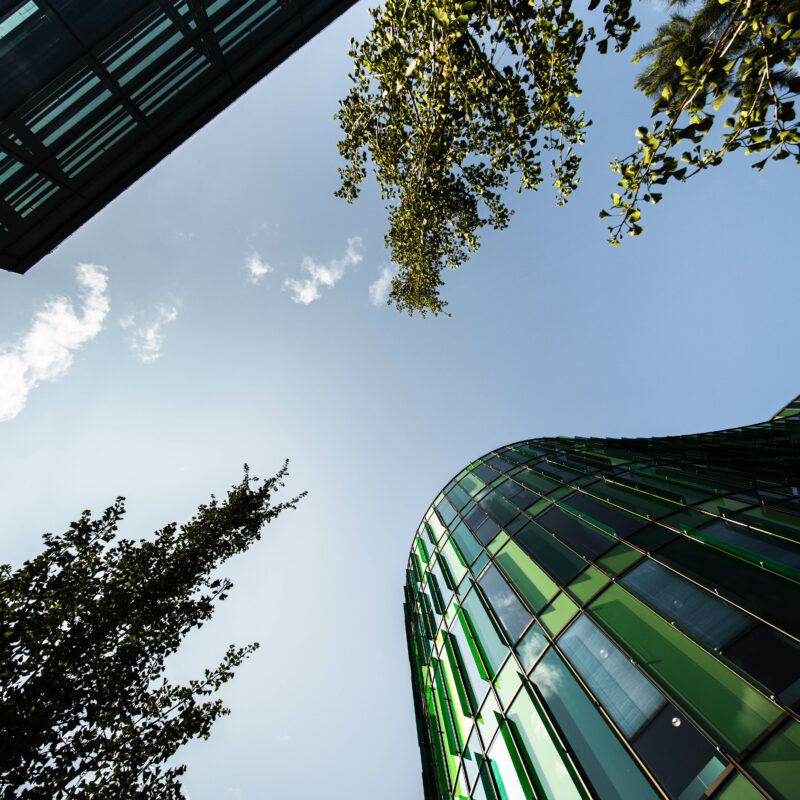 Blue sky with buildings and trees