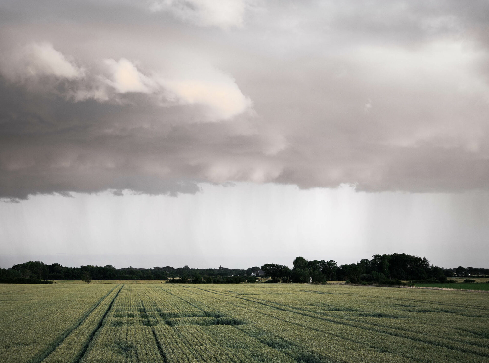 Field with large and heavy clouds