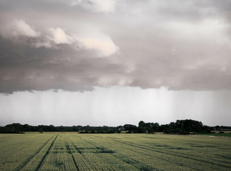 Field with large and heavy clouds