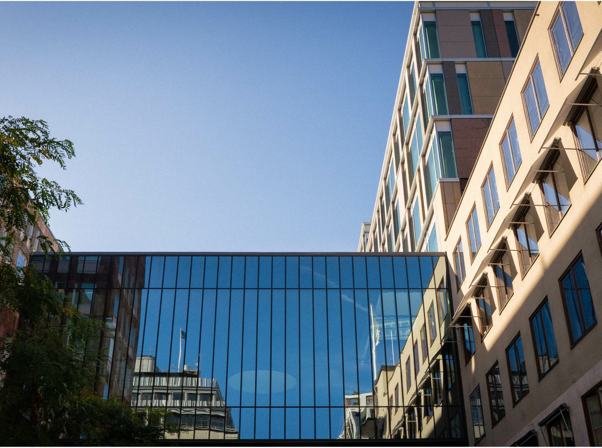 Mannheimer Swartling